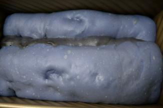 发酵至八分满即可。放入预热好的烤箱，180度中下层烤45分钟左右。