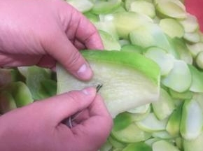 把棉绳穿进发卡里，用发卡代替针，把萝卜片串起来。（棉绳的长度可以随自己的喜欢来选择。）