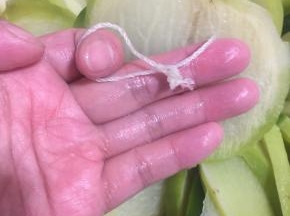 把棉绳一端打成活结，如图所示！