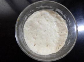 发酵至产生有许多气泡的状态，涨到最高点，有少许回落，就可以使用。