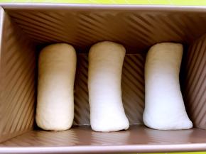 面团全部卷好后，放入模具内均匀排开，盖吐司盖子入烤箱二次发酵，烤箱没有发酵功能的可以放碗热水