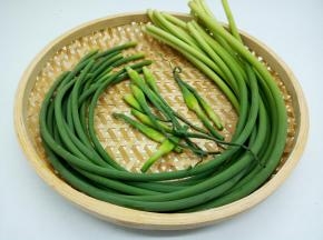 摘去蒜薹尾部不能吃的部位