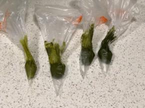 分别装到裱花袋里，要记得给不同量抹茶糊排个顺序，以免忘记，我是从左往右依次颜色加深