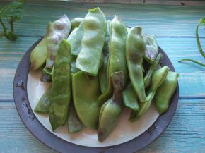 扁豆洗净，去掉两边掰成小段。