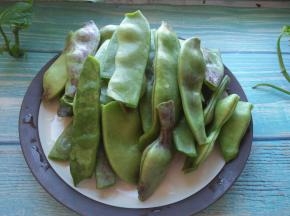 扁豆洗净，去掉两边掰成小段。