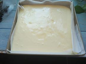 蛋糕糊倒入烤盘上的锡纸上