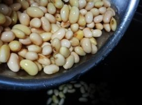 慢炖锅中加清水 倒入黄豆