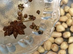 在将花椒和大料放入锅中，大火烧开十分钟
