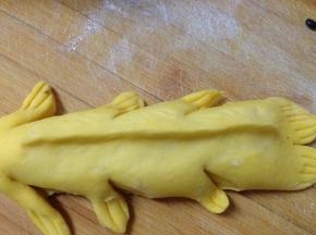 背部捏起来作为背鳍