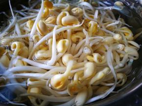 黄豆芽洗净