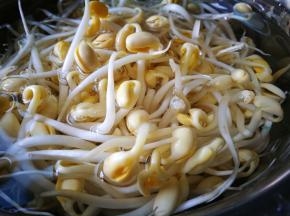 黄豆芽洗净
