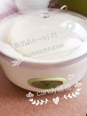 放进酸奶机6～8小时