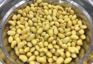泡发好的黄豆。