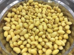 泡发好的黄豆。