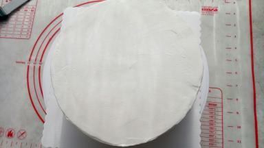 抹好面(这个蛋糕对抹面要求不高，因为外面要贴糯米纸，差不多就可以)