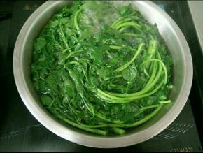 西洋菜洗干净，烫熟。
