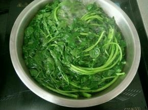 西洋菜洗干净，烫熟。