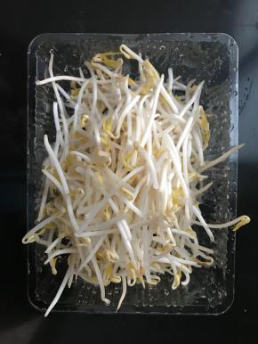 面团醒发的时间来准备配菜：绿豆芽摘干净