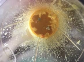 然后将土豆咖喱放入料理机中打成泥