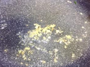 油温六成热放入姜末，炒香