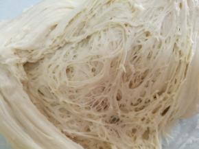 中种原料活成面团放冰箱冷藏发酵12到17个小时。