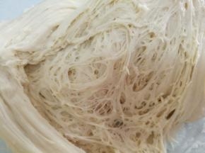 中种原料活成面团放冰箱冷藏发酵12到17个小时。