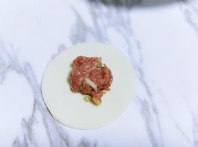 这样可以包饺子了，取一张饺子皮，放入牛肉馅。