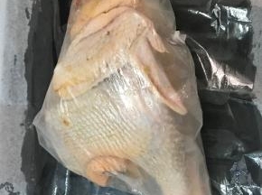 取两张砂纸刷上食用油，将鸡包裹住。