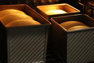 放入东菱烤箱，底层放一碗热腾腾的开水，关上门，调至38度，发酵125分钟。（冬天太冷了，借助烤箱发酵是不错的选择。）