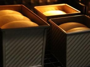 放入东菱烤箱，底层放一碗热腾腾的开水，关上门，调至38度，发酵125分钟。（冬天太冷了，借助烤箱发酵是不错的选择。）