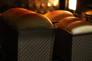 一定要用网架放最底层哦，没加盖很容易就会顶到发热管。