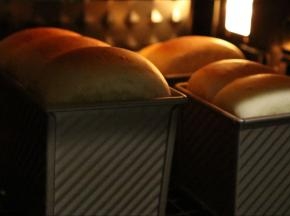 一定要用网架放最底层哦，没加盖很容易就会顶到发热管。