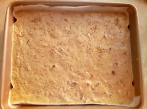 把糊倒进阳晨11寸深盘里，震几下。把大气泡震出来。上面撒少许芝麻。