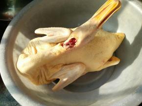 首先要选一只母鸭子，瘦肉比较多，给商贩帮忙杀好。拿回来再里外冲洗干净，切去鸭屁股。