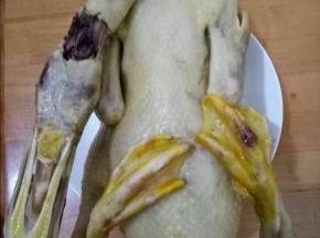 放到大锅里，加入没过鸭子的冷水，中火煮开后转小火。加入适量料酒和稍微多点盐，煮到鸭子熟透，捞出凉凉。