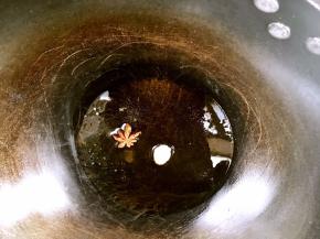 锅烧热油，放入白芷、大料爆香