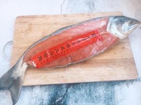 这是半条腌制过的咸大马哈鱼。