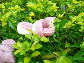 宝宝喜欢就好。