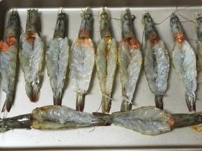 把大虾平铺，把虾脑挤出来在虾肉上