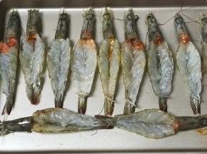 把大虾平铺，把虾脑挤出来在虾肉上
