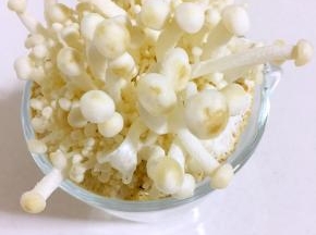 十天左右金针菇就会长出来啦。等再长长一点就可以剪下来吃啦。