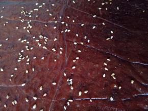 烤好后拿出来继续两面刷蜂蜜，最后在表面撒适量的芝麻，然后放入烤箱继续烤5分钟