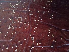 烤好后拿出来继续两面刷蜂蜜，最后在表面撒适量的芝麻，然后放入烤箱继续烤5分钟