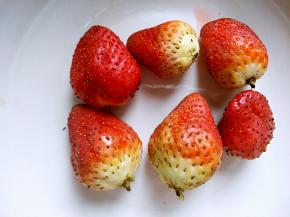 草莓选择比较红的，洗干净