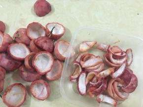 切成小条（我忘了我用多少个百香果了，但最后这里果肉就是300g左右）