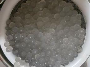 至西米看不见白点即可。煮好的西米用凉水冲一遍会更Q弹。