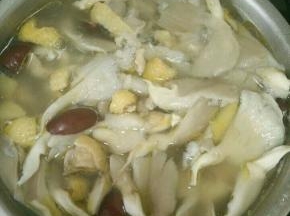 另取个汤锅放水、红枣和姜片烧开，把焯好的鸡肉放进去，加入适量料酒煮15分钟左右。然后加适量盐，放入凤尾菇，再煮七八分钟即可关火。