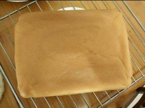 放到预热好的烤箱上管150度，下管140度，烤20分钟。出炉凉凉。