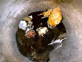 锅烧热油，放入八角、白芷、香叶炒香