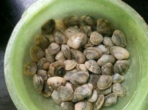 花蛤泡水后刷干净。